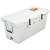 moeller125qt
